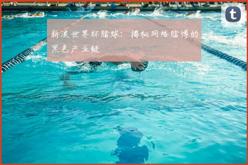 新浪世界杯赌球：揭秘网络赌博的黑色产业链