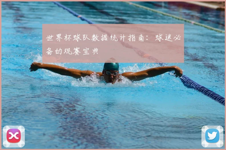 世界杯球队数据统计指南：球迷必备的观赛宝典