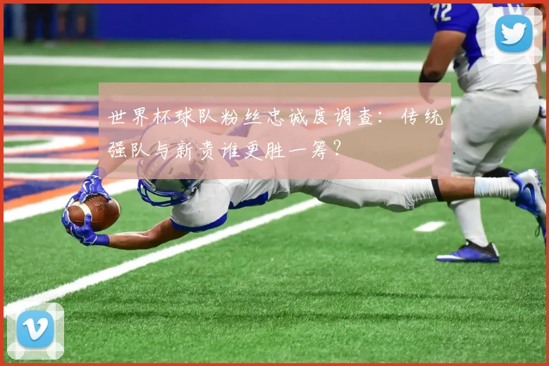 世界杯球队粉丝忠诚度调查：传统强队与新贵谁更胜一筹？