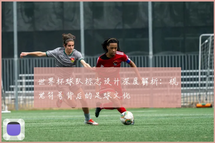 世界杯球队标志设计深度解析：视觉符号背后的足球文化