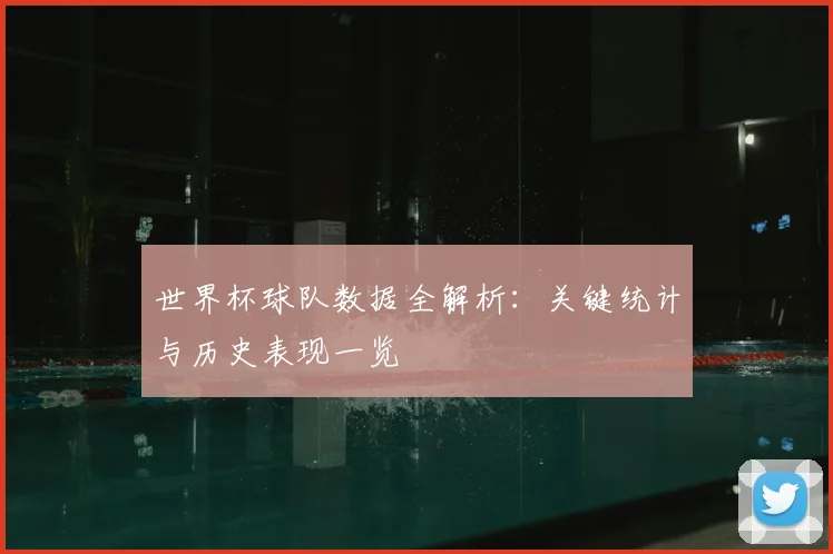 世界杯球队数据全解析：关键统计与历史表现一览