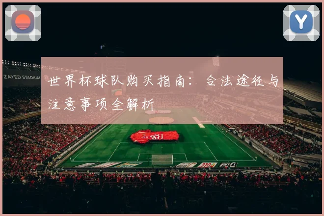 世界杯球队购买指南：合法途径与注意事项全解析